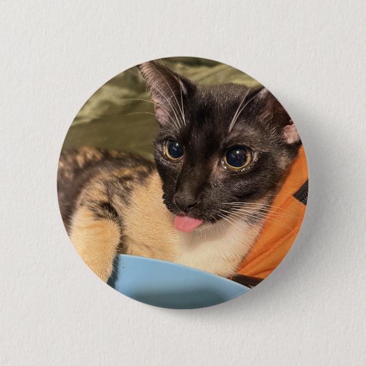 Dummer Kater Button (Vorderseite)