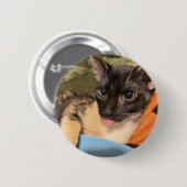 Dummer Kater Button (Vorne & Hinten)