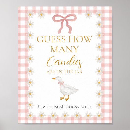 Dummerweise Gans Rosa Gingham Baby Shower Ratespie Poster (Vorne)