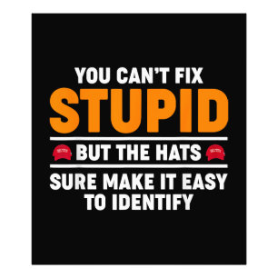 Dummheit kann man nicht reparieren, aber Hüte mach Fotodruck