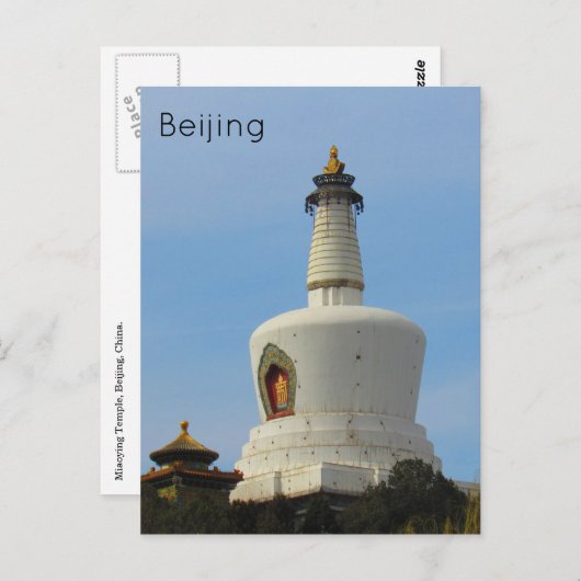 Dummheit Postkarte (Vorne/Hinten)