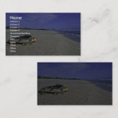 Dummkopf-Meeresschildkröte an nationalem wildem Visitenkarte (Vorne/Hinten)