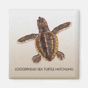 Dummkopf-Meeresschildkrötehatchlings-Magnet Magnet