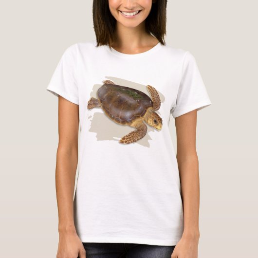 Dummkopf-Seeschildkröte-T - Shirt (Vorderseite)