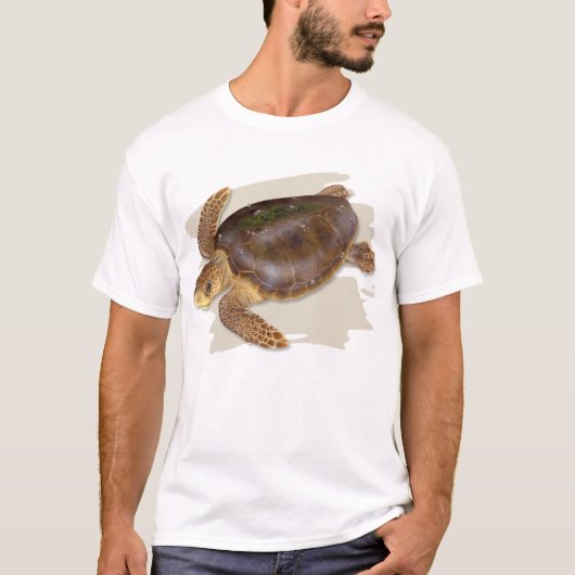 Dummkopf-Seeschildkröte-T - Shirt (Vorderseite)