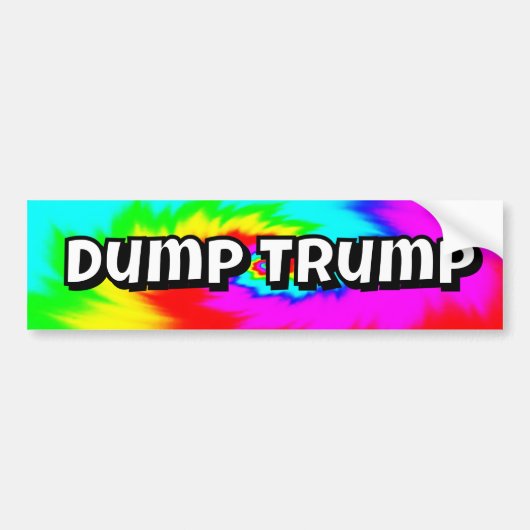 Dump Trump (you may change the words) Autoaufkleber (Vorne)