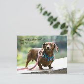 Dumpling Shows ihrer Edelsteine Postkarte (Stehend Vorderseite)