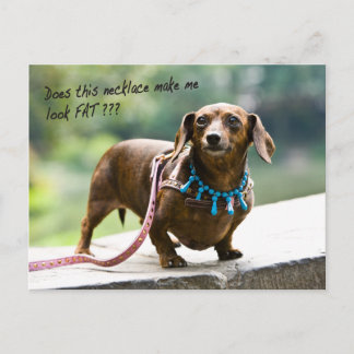 Dumpling Shows ihrer Edelsteine Postkarte