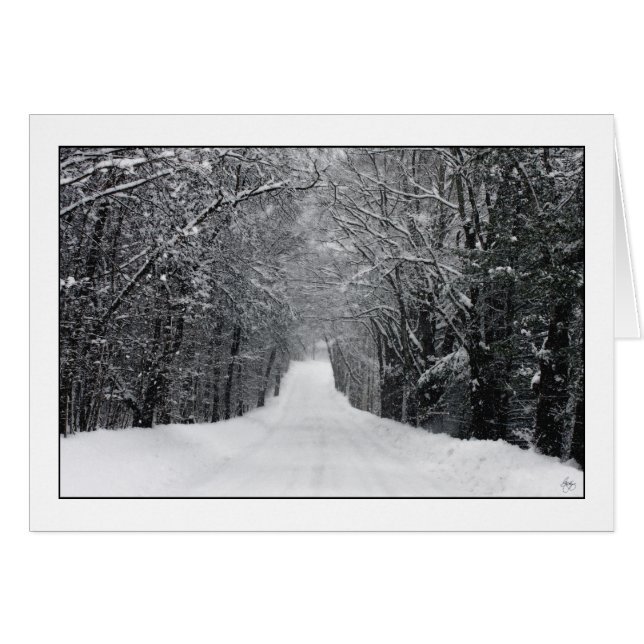 Dumprun Snowstorm (Vorderseite (Horizontal))