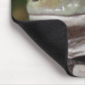 Dumpy Tree Frog. Lächelnder Frosch. Litoria caerul Mousepad (Ecke)