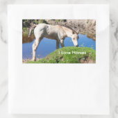 Dun foal Pferdekleber Rechteckiger Aufkleber (Tasche)