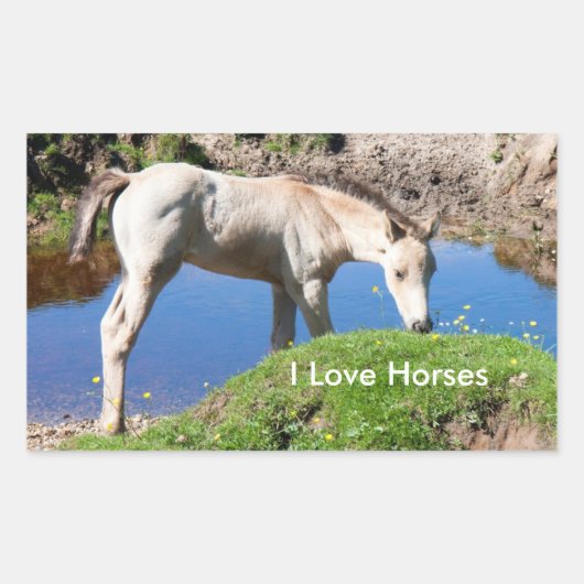 Dun foal Pferdekleber Rechteckiger Aufkleber (Vorderseite)