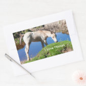 Dun foal Pferdekleber Rechteckiger Aufkleber (Umschlag)
