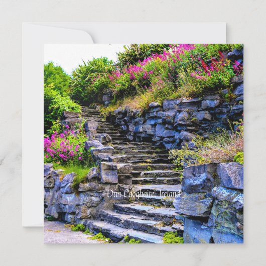 Dun Laoghaire, Irland landschaftliches Foto Karte (Vorderseite)