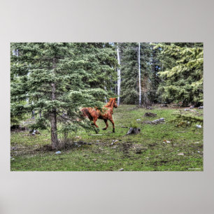 Dun Ranch Horse Cantering in Forest Equine Foto Poster