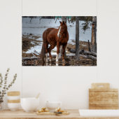 Dun Ranch Pferd beim Trinken Hole Equine Foto Poster (Küche)