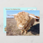 Duncan der Highland Bull Postkarte (Vorne/Hinten)