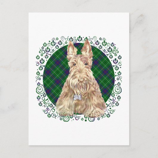 Duncan Tartan Scottie Postkarte (Vorderseite)