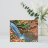 Dundee Falls in Herbst, Ohio Postkarte (Stehend Vorderseite)