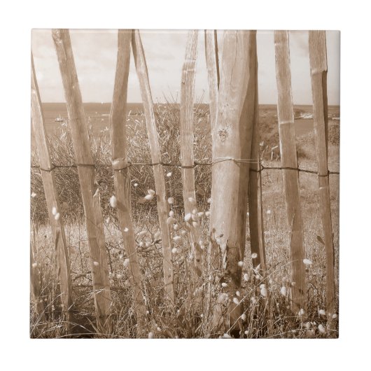 Düne Fliese (Vorderseite)