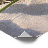 Dune Grass Poster (Ecke)