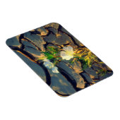 Dune Primrose wächst aus Cracked Mud Magnet (Rechte Seite)