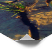 Dune Primrose wächst aus Cracked Mud Poster (Ecke)