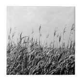 Dune Triptych III Fliese (Vorderseite)