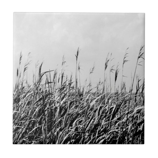 Dune Triptych III Fliese (Vorderseite)