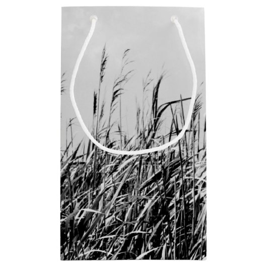 Dune Triptych III Kleine Geschenktüte (Rückseite)