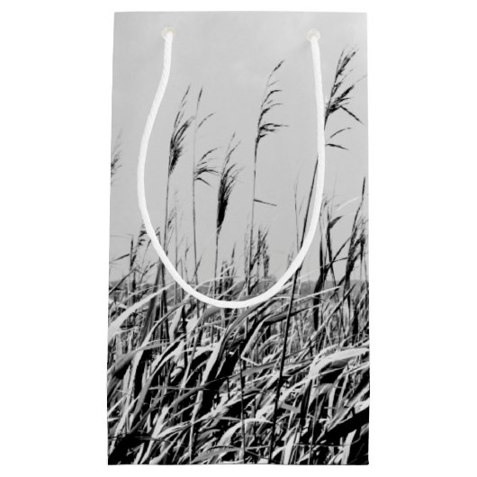 Dune Triptych III Kleine Geschenktüte (Vorderseite)