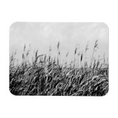 Dune Triptych III Magnet (Horizontal)