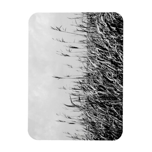 Dune Triptych III Magnet (Vertikal)