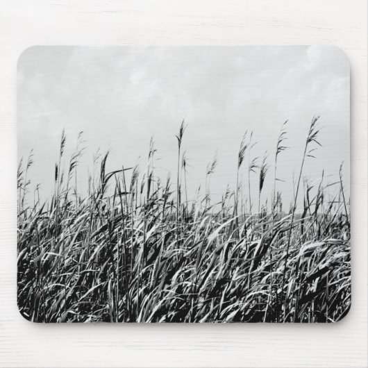 Dune Triptych III Mousepad (Vorne)