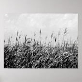 Dune Triptych III Poster (Vorne)