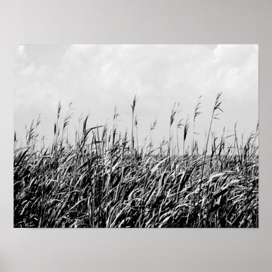 Dune Triptych III Poster (Vorne)