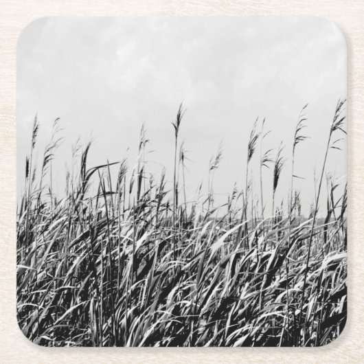 Dune Triptych III Rechteckiger Pappuntersetzer (Vorderseite)