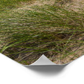 Düne und Hafer Poster (Ecke)