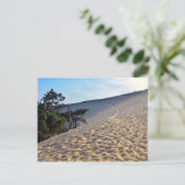 Düne von Pilat in Frankreich Postkarte (Stehend Vorderseite)