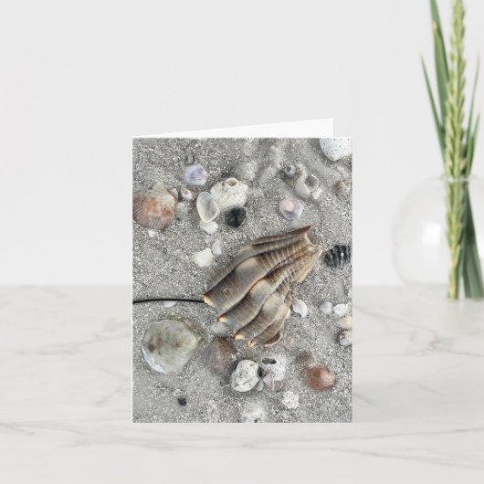 Dunedin Beach Florida Note Card (Vorderseite)