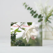 Dunedin, Florida Postkarte (Stehend Vorderseite)