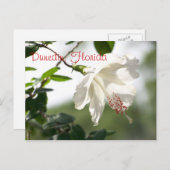 Dunedin, Florida Postkarte (Vorne/Hinten)
