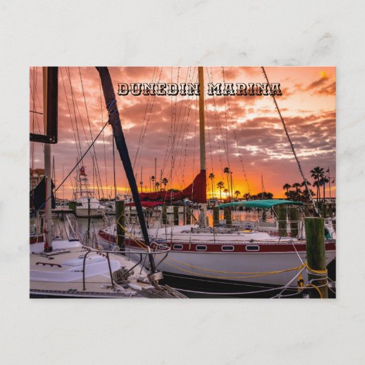 Dunedin Marina Sunset Florida Postkarte (Vorderseite)