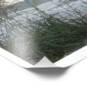 Dunegrass Fotodruck (Ecke)