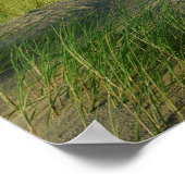 Dünen an der Nordsee Poster (Ecke)