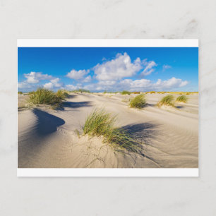 Dünen auf der Nordseeinsel Amrum Postkarte