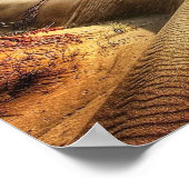 Dünen der Nordsee Poster (Ecke)