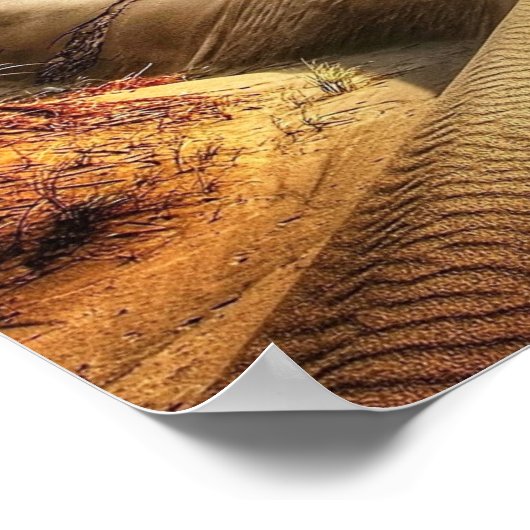 Dünen der Nordsee Poster (Ecke)