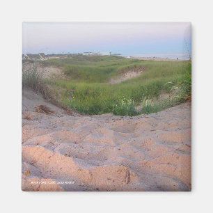 Dünen in Montauk Magnet