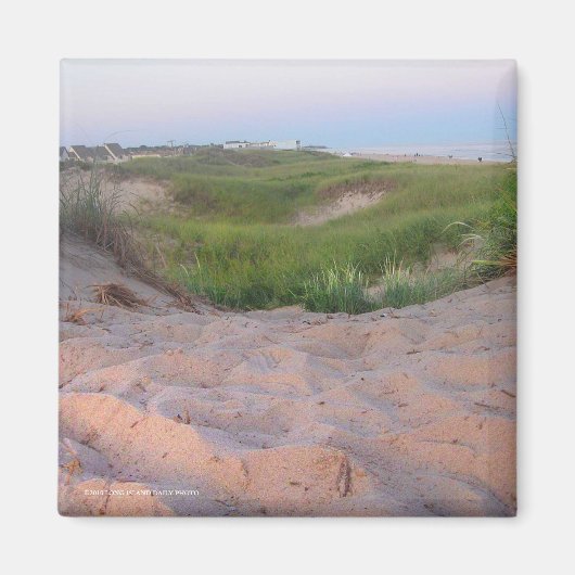 Dünen in Montauk Magnet (Vorne)